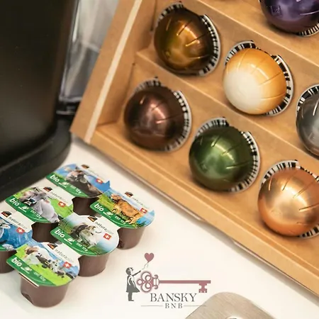 Duplex Loft In Center With Garden, Wi-fi -by Easylife Swiss *