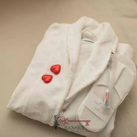 Duplex Loft In Center With Garden, Wi-fi -by Easylife Swiss Apartman Lugano