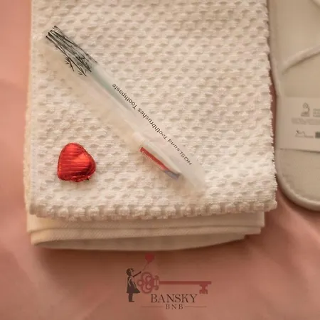 Duplex Loft In Center With Garden, Wi-fi -by Easylife Swiss *